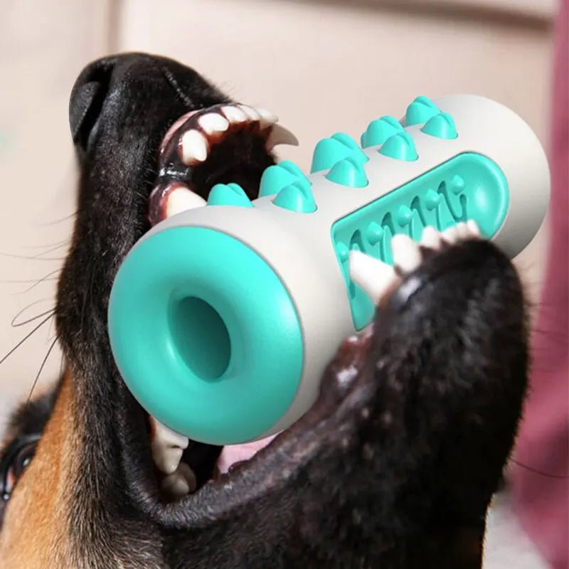 Brinquedo Interativo Multifuncional Toothbrush - Amor PetShop