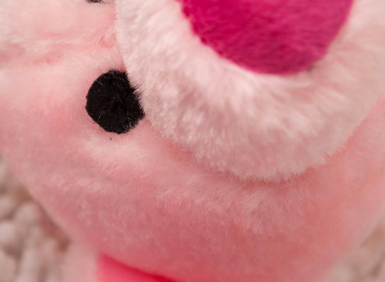 Brinquedo Mordedor com Corda para cães - Amor PetShop