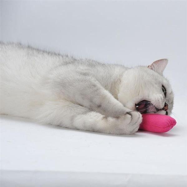 Brinquedo para Gatos | Animais de Pelúcia - Amor PetShop
