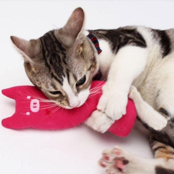 Brinquedo para Gatos | Animais de Pelúcia - Amor PetShop