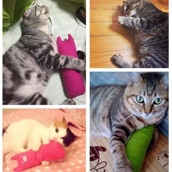 Brinquedo para Gatos | Animais de Pelúcia - Amor PetShop