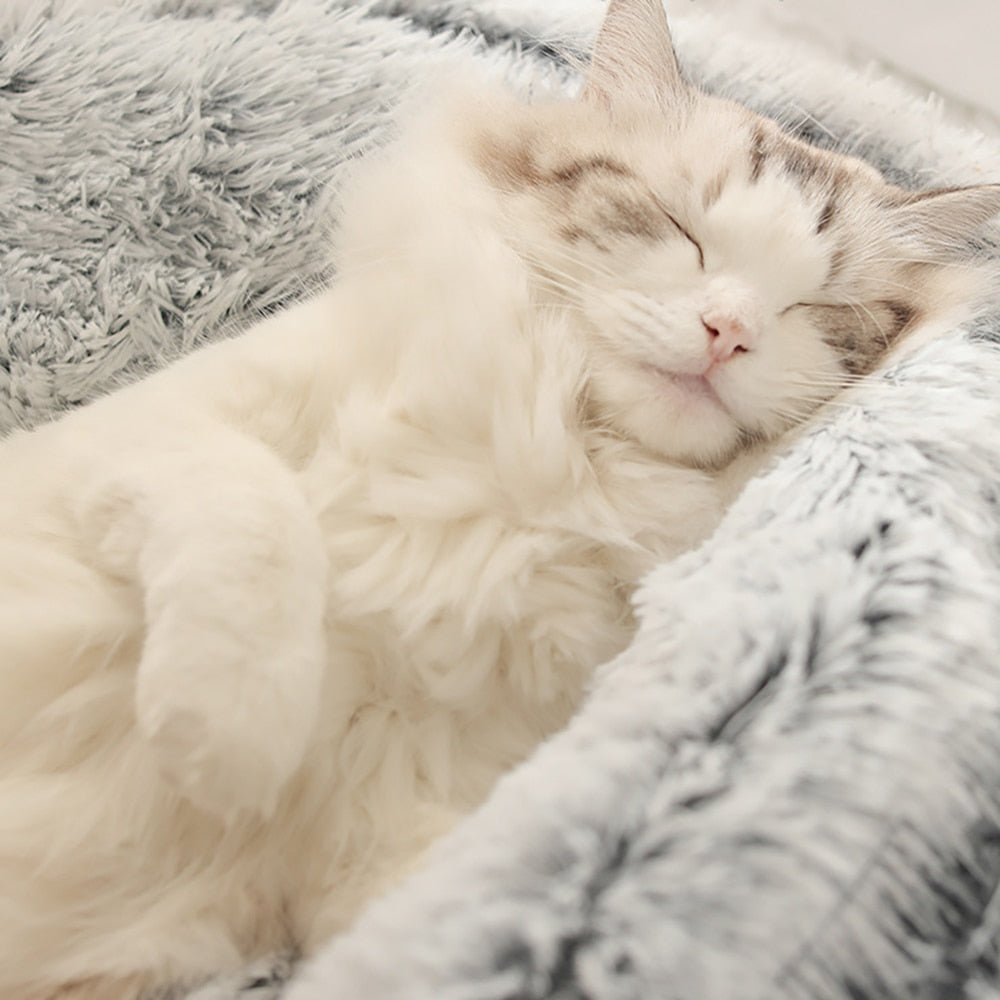 Cama Anti-Estresse Algodão Doce para Gatos - Amor PetShop