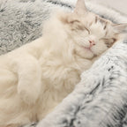 Cama Anti-Estresse Algodão Doce para Gatos - Amor PetShop
