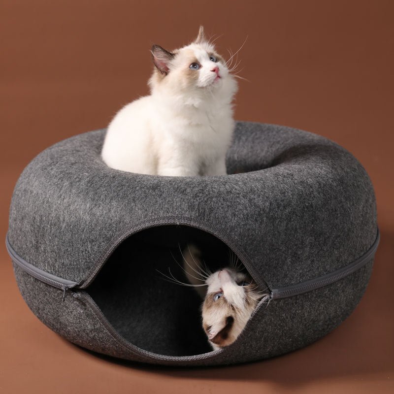 Cama Interativa para Gatos Rosquinha - Amor PetShop