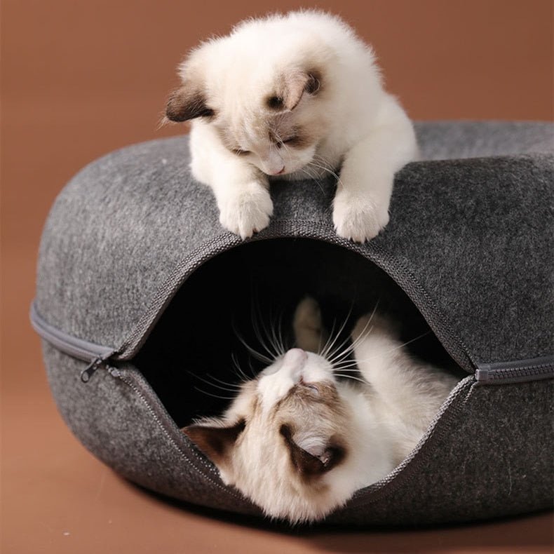 Cama Interativa para Gatos Rosquinha - Amor PetShop