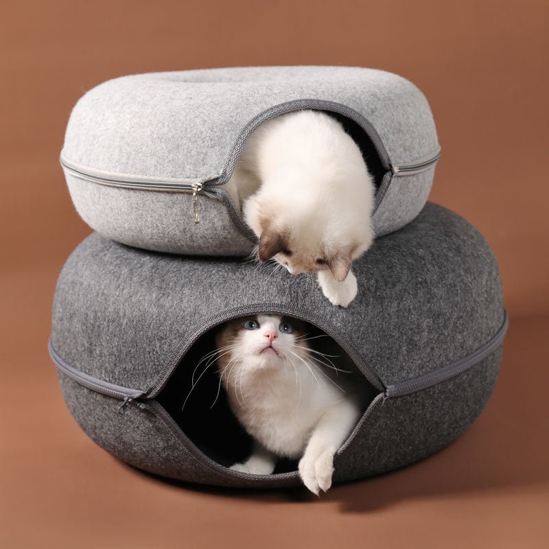Cama Interativa para Gatos Rosquinha - Amor PetShop