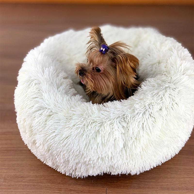 CAMA NUVEM® ORIGINAL - Amor PetShop
