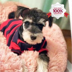 CAMA NUVEM® ORIGINAL - Amor PetShop