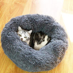 CAMA NUVEM® ORIGINAL - Amor PetShop