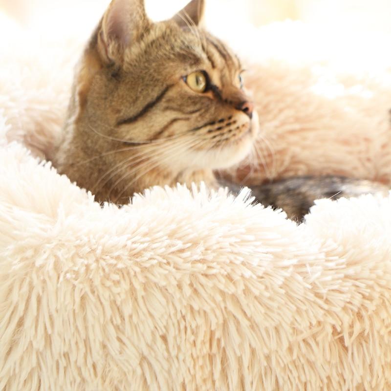 CAMA NUVEM® ORIGINAL - Amor PetShop