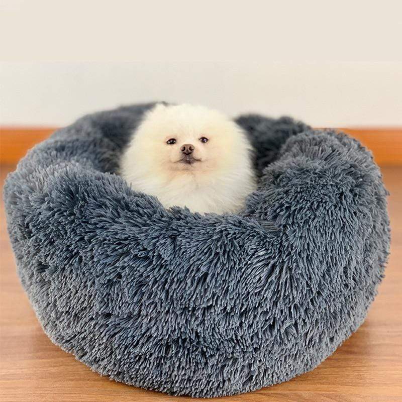 CAMA NUVEM® ORIGINAL - Amor PetShop