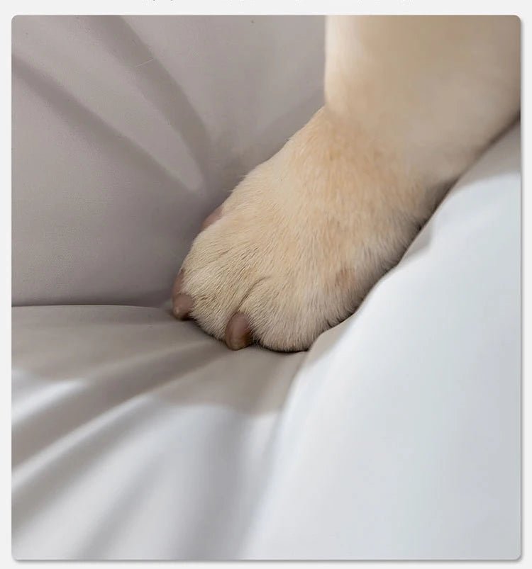 Cama Ortopédica para Cães AquaConforto Premium Impermeável - Amor PetShop