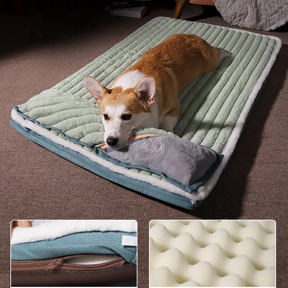 Cama Ortopédica para Cães Care Premium - Amor PetShop
