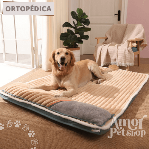 Cama Ortopédica para Cães Care Premium - Amor PetShop