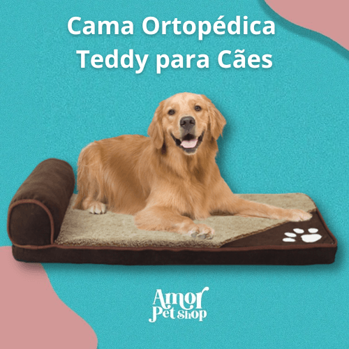 Cama Ortopédica Teddy para Cães - Amor PetShop