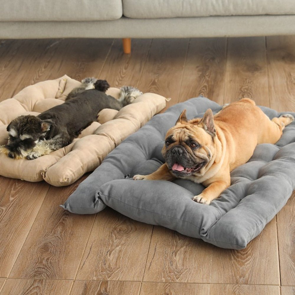 Cama Sofá para Cães e Gatos CONFORTPLUS 3 em 1 - Amor PetShop