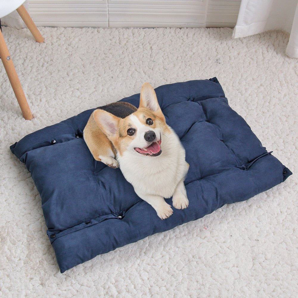 Cama Sofá para Cães e Gatos CONFORTPLUS 3 em 1 - Amor PetShop