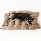 Cama Sofá para Cães e Gatos CONFORTPLUS 3 em 1 - Amor PetShop