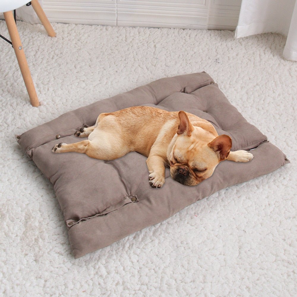 Cama Sofá para Cães e Gatos CONFORTPLUS 3 em 1 - Amor PetShop