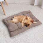 Cama Sofá para Cães e Gatos CONFORTPLUS 3 em 1 - Amor PetShop