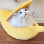 Caminha Bananinha - Amor PetShop