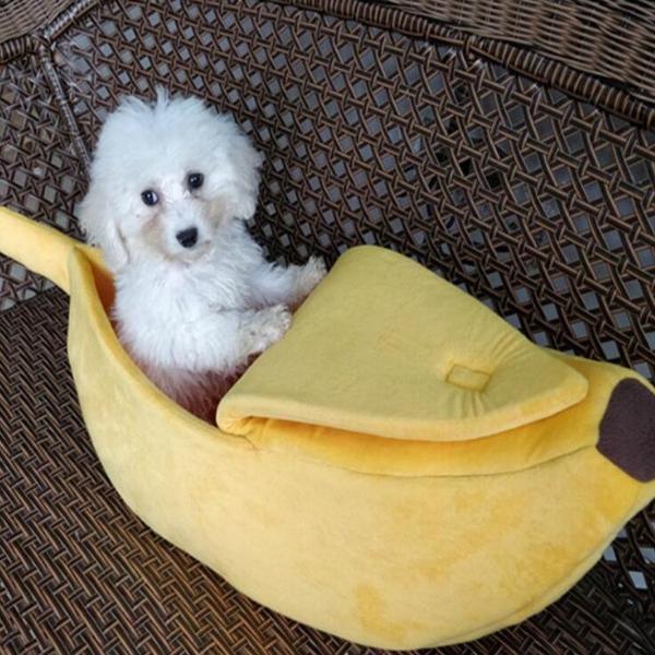 Caminha Bananinha - Amor PetShop