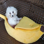 Caminha Bananinha - Amor PetShop