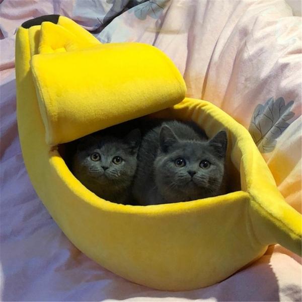 Caminha Bananinha - Amor PetShop