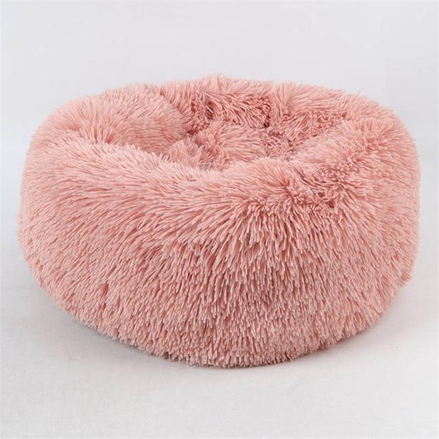 CAMINHA NUVEM® a mais querida do Brasil - Amor PetShop