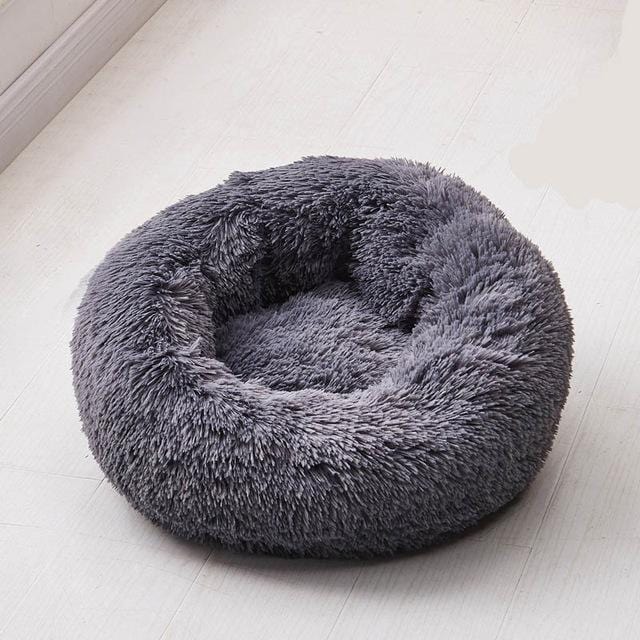 CAMINHA NUVEM® a mais querida do Brasil - Amor PetShop