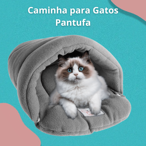 Caminha para Gatos Pantufa - Amor PetShop