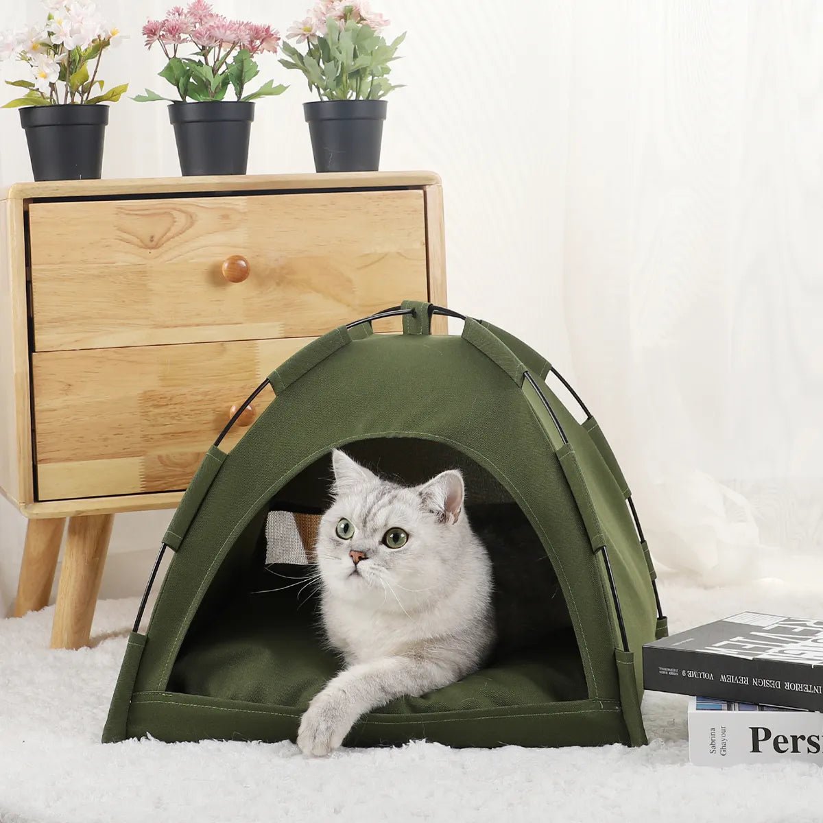 Caminha Tenta Mágica PetHaven - Amor PetShop