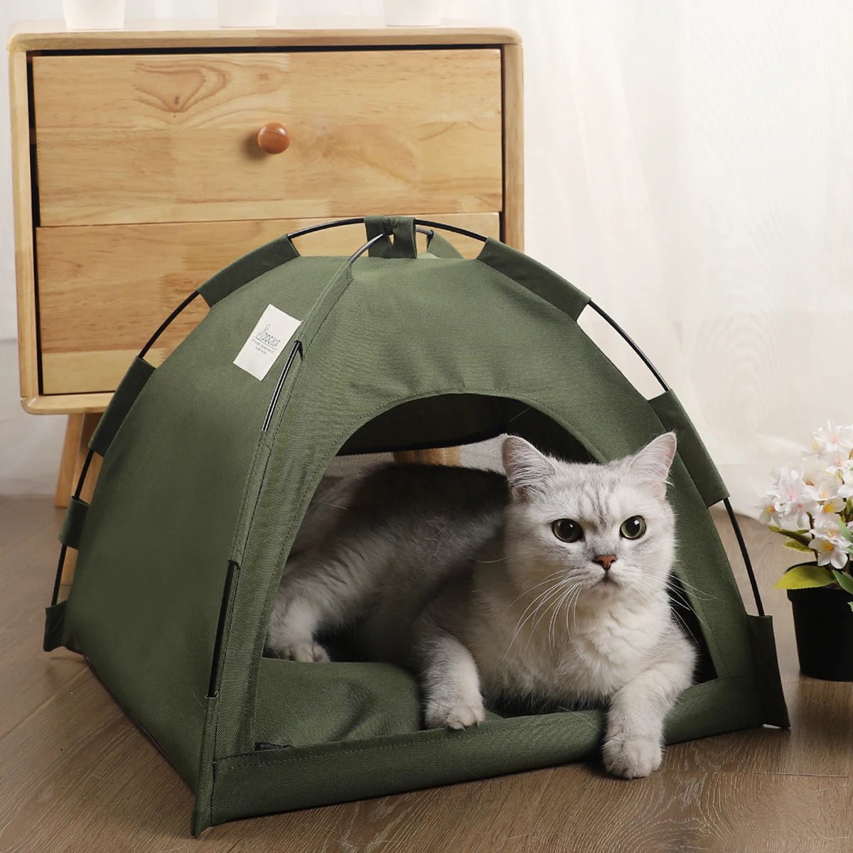 Caminha Tenta Mágica PetHaven - Amor PetShop