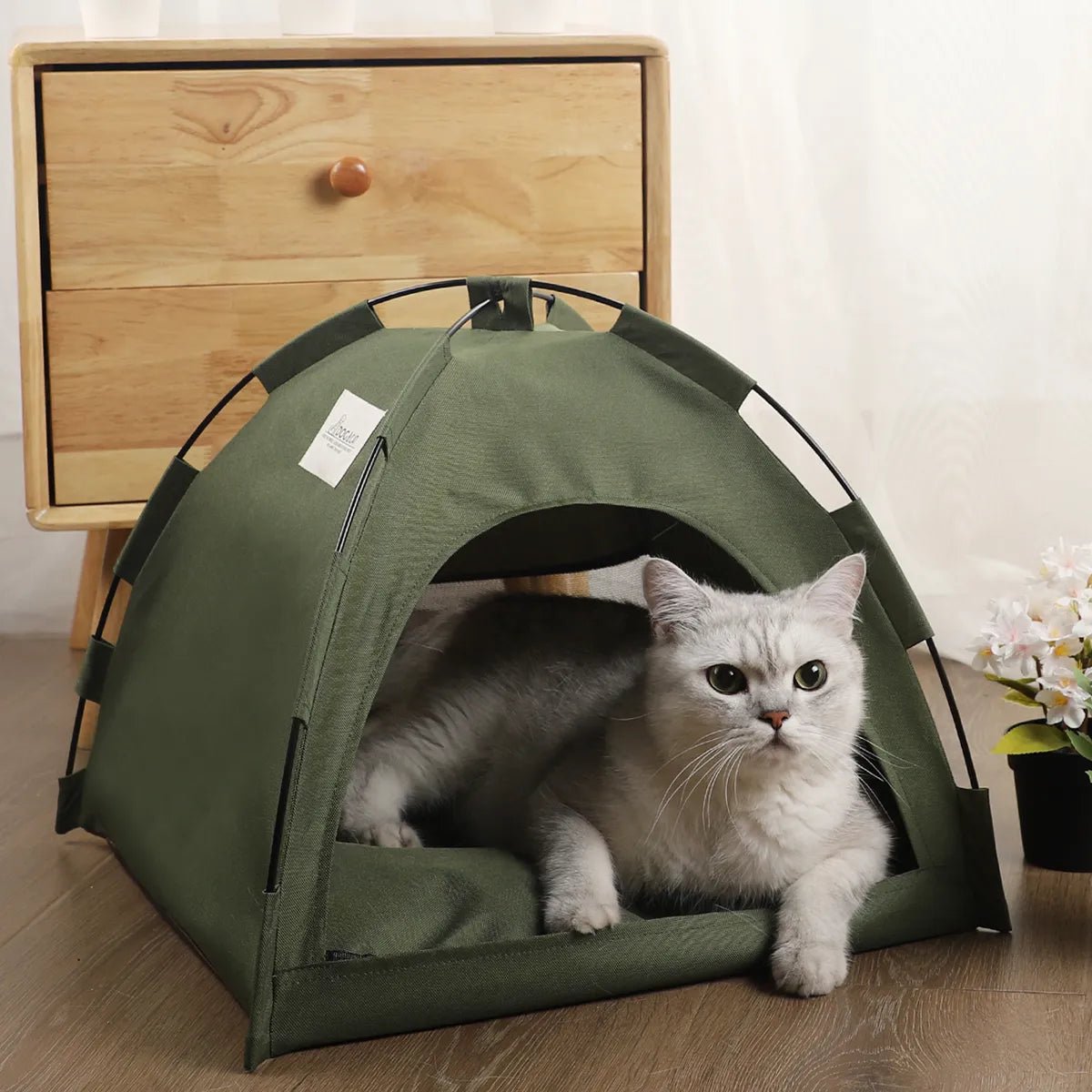 Caminha Tenta Mágica PetHaven - Amor PetShop