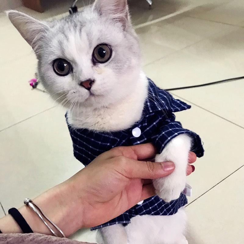 Camisa Super Elegante para Pets - Amor PetShop