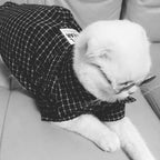 Camisa Super Elegante para Pets - Amor PetShop
