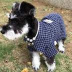 Camisa Super Elegante para Pets - Amor PetShop