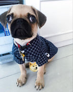 Camisa Super Elegante para Pets - Amor PetShop