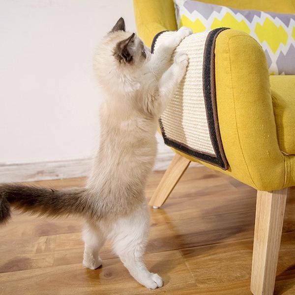 Capa Protetora & Arranhador para Gatos - Amor PetShop