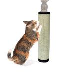 Capa Protetora & Arranhador para Gatos - Amor PetShop