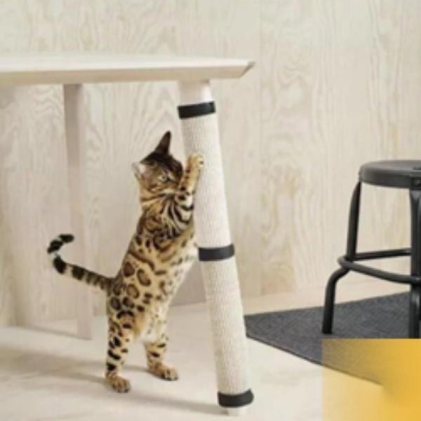Capa Protetora & Arranhador para Gatos - Amor PetShop