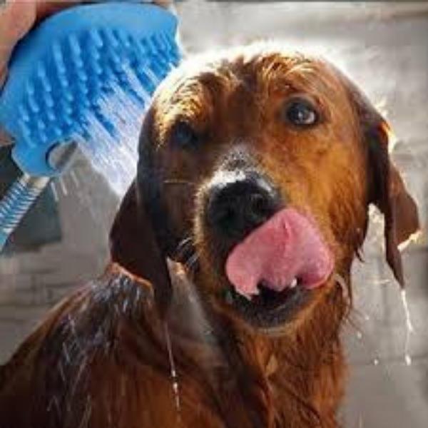 Chuveiro Pet com Massageador PET BATHING - Amor PetShop