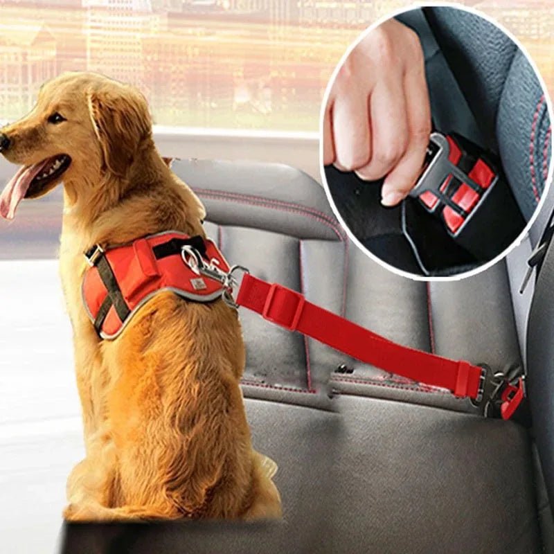 Cinto de Segurança para Pets: Conforto e Segurança em Viagens! - Amor PetShop