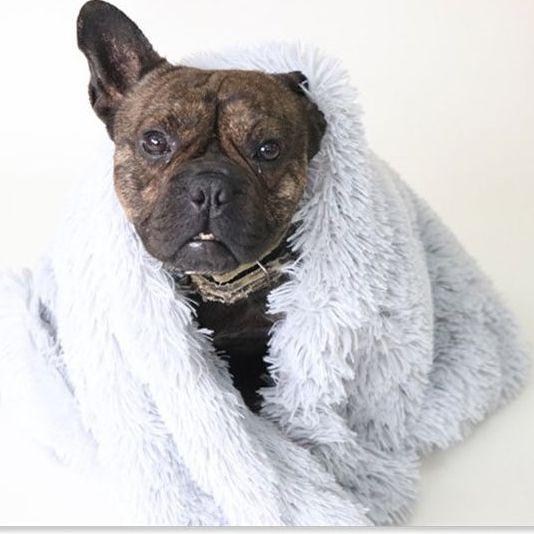 Cobertor NUVEM Calmante para Sono Profundo - Amor PetShop