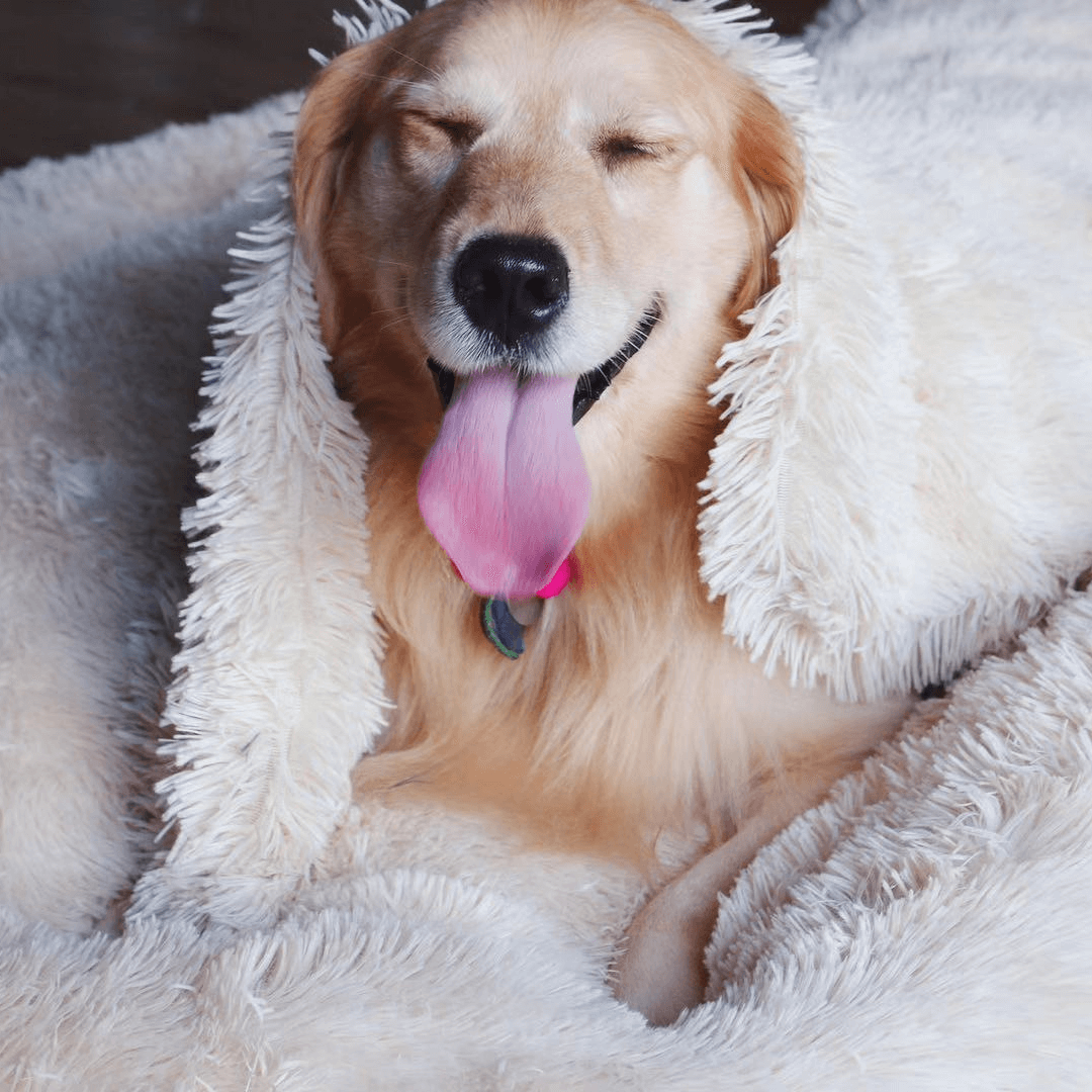 Cobertor NUVEM Calmante para Sono Profundo - Amor PetShop