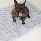 Cobertor NUVEM Calmante para Sono Profundo - Amor PetShop