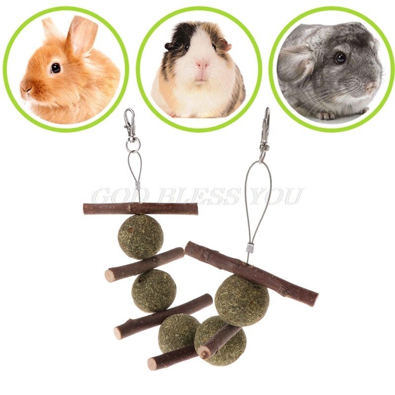 Colar Roedor Natural e Orgânico para Coelho e Porquinho da India - Amor PetShop