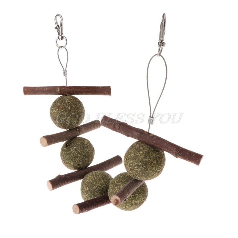 Colar Roedor Natural e Orgânico para Coelho e Porquinho da India - Amor PetShop