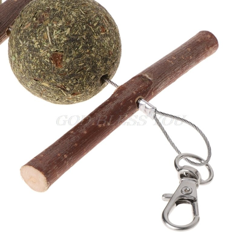 Colar Roedor Natural e Orgânico para Coelho e Porquinho da India - Amor PetShop