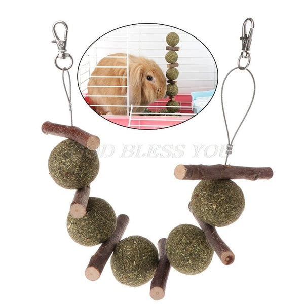Colar Roedor Natural e Orgânico para Coelho e Porquinho da India - Amor PetShop